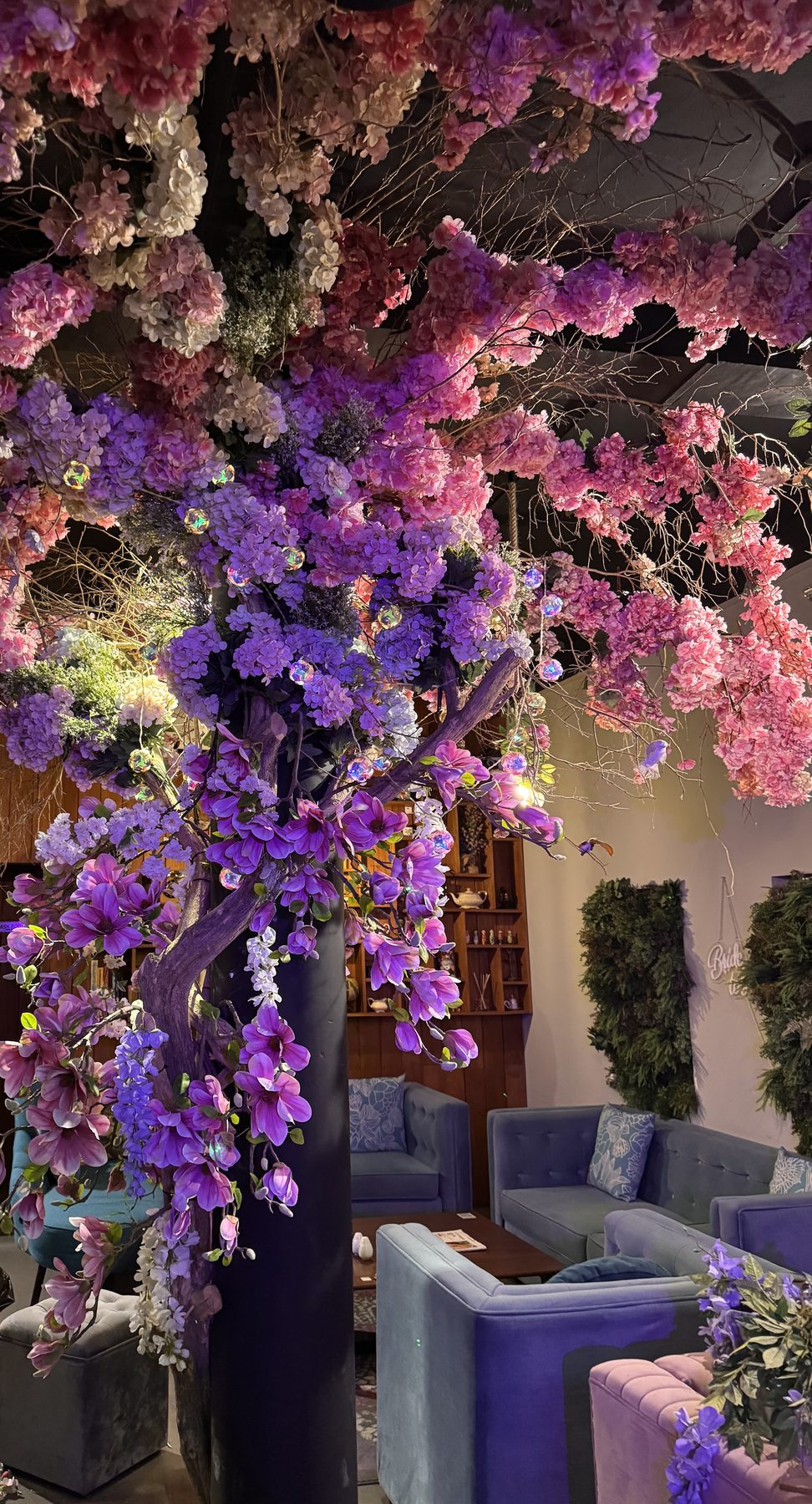 The blossom tree over the sofas